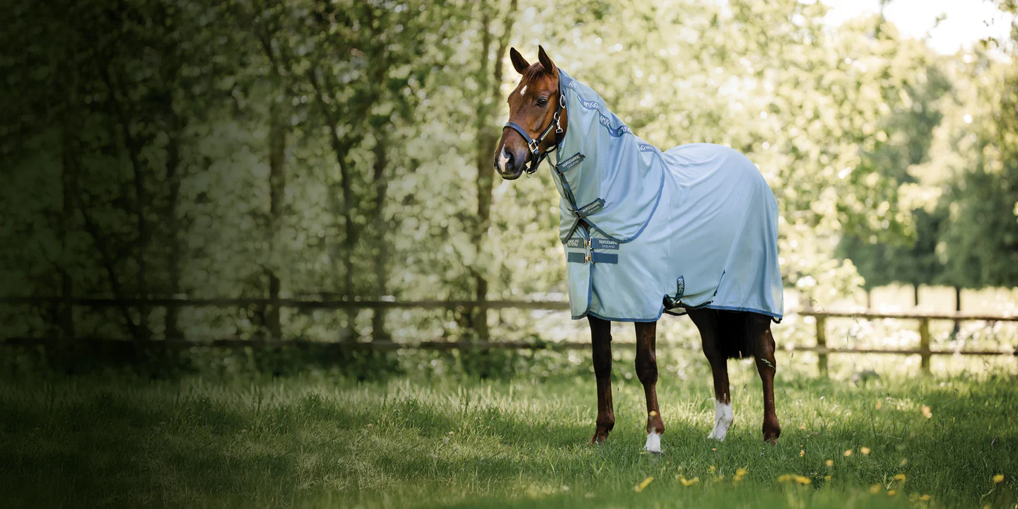 Elegance in Every Ride