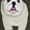 Product image 171